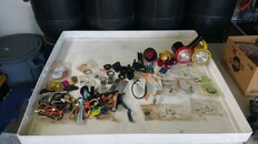 20170630_133206.jpg