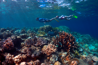 Solomon Islands - A Diving Wonderland.png