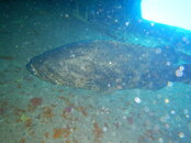 DSCN3372.JPG