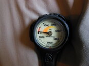 DSCN2747.JPG