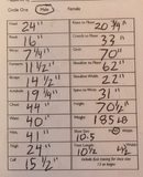 FLX-10.png