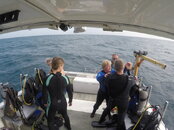 GOPR2302.JPG