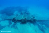DSC_7071A.jpg