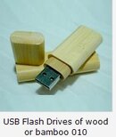 USB Flash Drives of wood or bamboo .jpg
