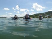 Dsc00337.jpg