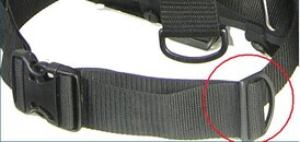 Buckle.jpg