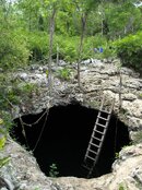 TOD A forbidding looking sinkhole with a 12 ft drop!.jpg