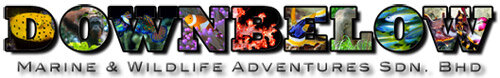 dbpix.jpg