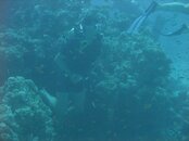 DSCF3610.jpg