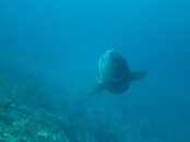 IMG_3392.JPG