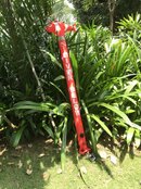 20171008_042955928_iOS.jpg