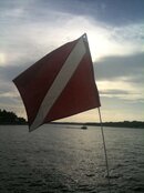 IMG_1130.jpg