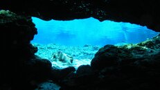 DSC04960.jpg