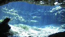 DSC05006.jpg