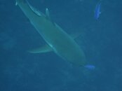 IMG_7604.jpg