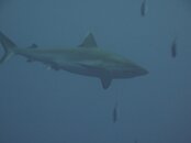 IMG_7900.jpg