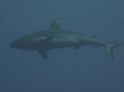 IMG_7908.jpg