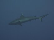 IMG_7909.jpg
