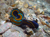 P7313696_edited-1.jpg
