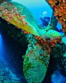 IMG_3331.jpg