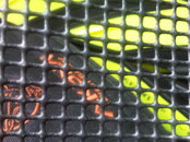 IMG00202-20100807-1330.jpg