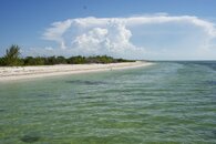 cozumel_whale_shark_tour5.jpg