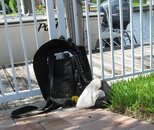IMG_2527.jpg