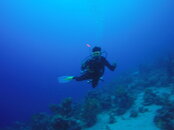GOPR0956_1495817809384_high.JPG
