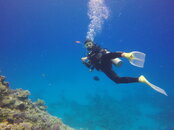 GOPR0939_1495817809384_high.JPG