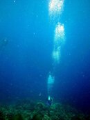 Walindi 30m viz.jpg