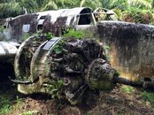 Crashed B-25 bomber PNG.jpg