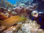 IMG_3325.JPG
