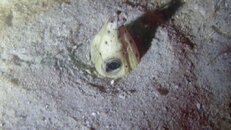 PC200414.JPG