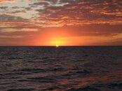 IMG_20171227_172626714.jpg
