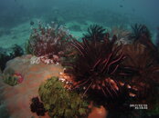 MICR0865.jpg