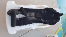 20171228_152131.jpg