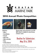 RMP Photocompetition print ad.jpg