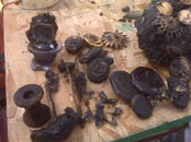 IMG00180.jpg