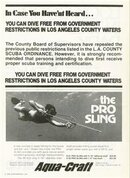 Pro Sling Old.jpg