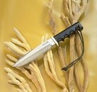 tn_saltwater2-big.jpg