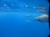 IMG_0648.jpg