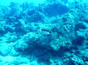 PICT0120.jpg