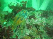 DSC04474.jpg