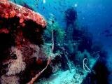 MK dive tour 7 email.jpg