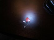 DSCF0595.jpg
