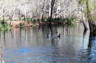 FSU-scuba-club-try-tech-gear-demo-event.jpg