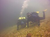 FB_IMG_1518457231216 (002).jpg