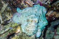 P7170539-1.jpg