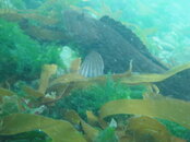 DSC04549.JPG
