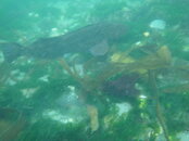 DSC04555.JPG